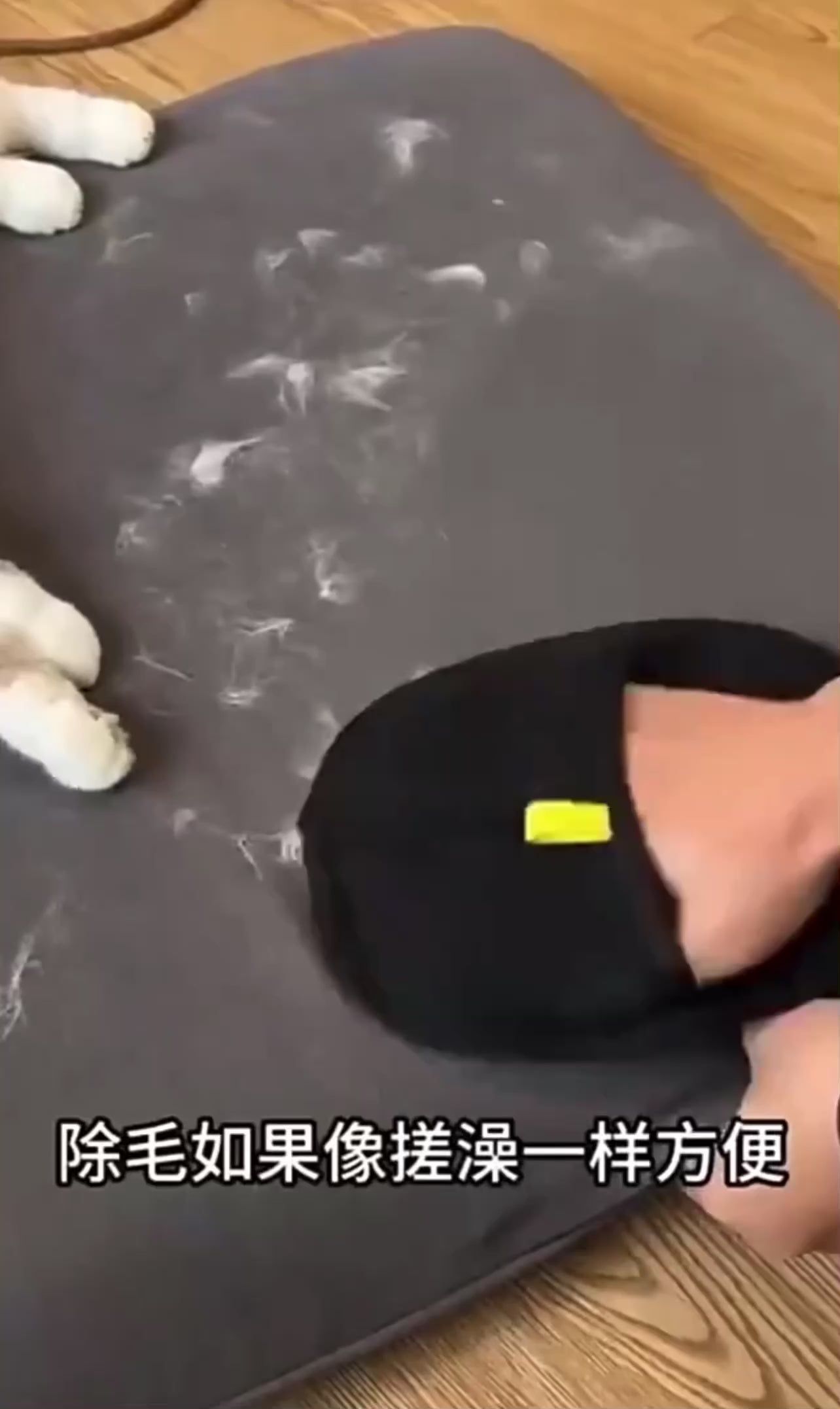 🐾 Pet Hair Removal Glove